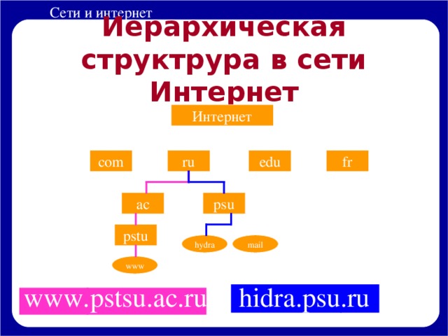 Иерархическая структрура в сети Интернет Интернет fr edu ru com ac psu pstu hydra mail www hidra.psu.ru www.pstsu.ac.ru