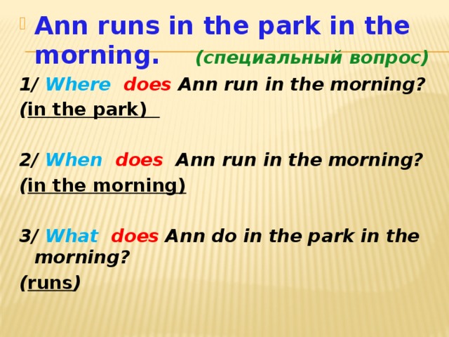 Ann runs in the park in the morning. (специальный вопрос) 1/ Where  does Ann run in the morning? ( in the park)  2/ When  does Ann run in the morning? ( in the morning)  3/ What  does Ann do in the park in the morning? ( runs