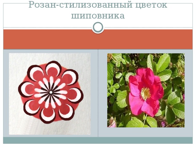 Розан-стилизованный цветок шиповника