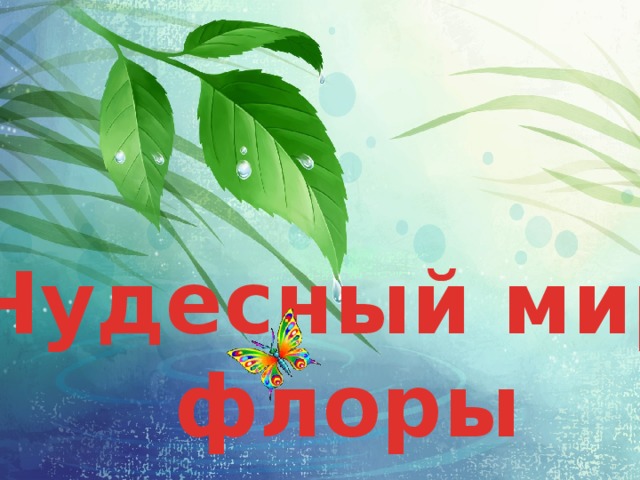 Чудесный мир  флоры