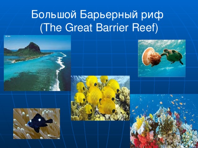 Большой Барьерный риф   ( The Great Barrier Reef)