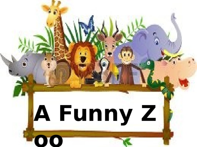   A Funny Zoo