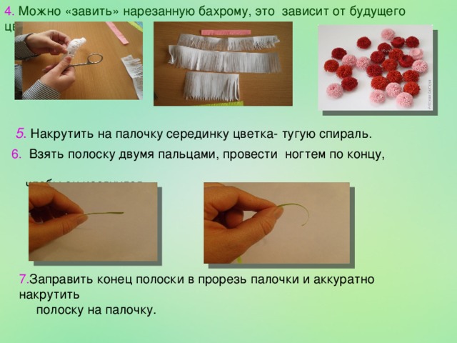 4. Можно «завить» нарезанную бахрому, это зависит от будущего цветка. 5 .  Накрутить на палочку серединку цветка - тугую  спираль. 6. Взять полоску двумя пальцами, провести ногтем по концу,  чтобы он изогнулся . 7. Заправить конец полоски в прорезь палочки и аккуратно накрутить  полоску на палочку.