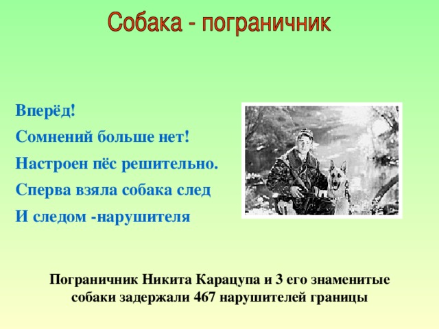 Вперёд! Сомнений больше нет! Настроен пёс решительно. Сперва взяла собака след И следом -нарушителя Пограничник Никита Карацупа и 3 его знаменитые собаки задержали 467 нарушителей границы