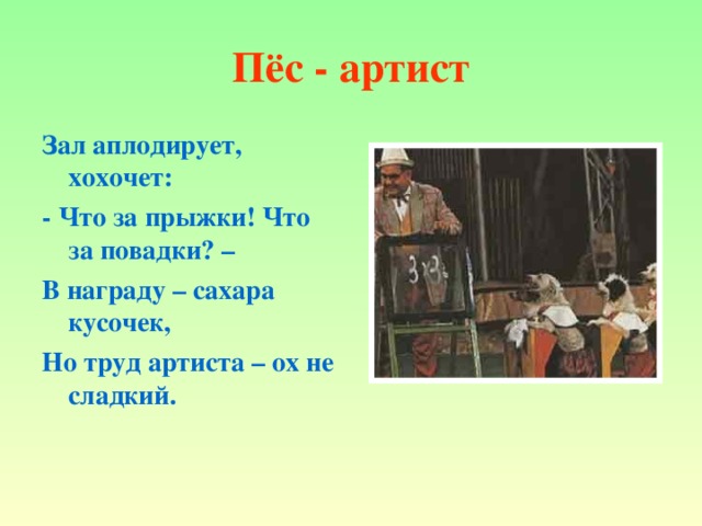 Пёс - артист Зал аплодирует, хохочет: - Что за прыжки! Что за повадки? – В награду – сахара кусочек, Но труд артиста – ох не сладкий.