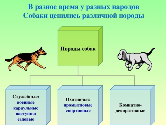 В разное время у разных народов  Собаки ценились различной породы Породы собак Служебные: Охотничьи: Комнатно- декоративные военные караульные пастушьи ездовые промысловые спортивные