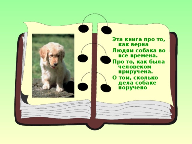 Эта книга про то, как верна Людям собака во все времена. Про то, как была человеком приручена. О том, сколько дела собаке поручено