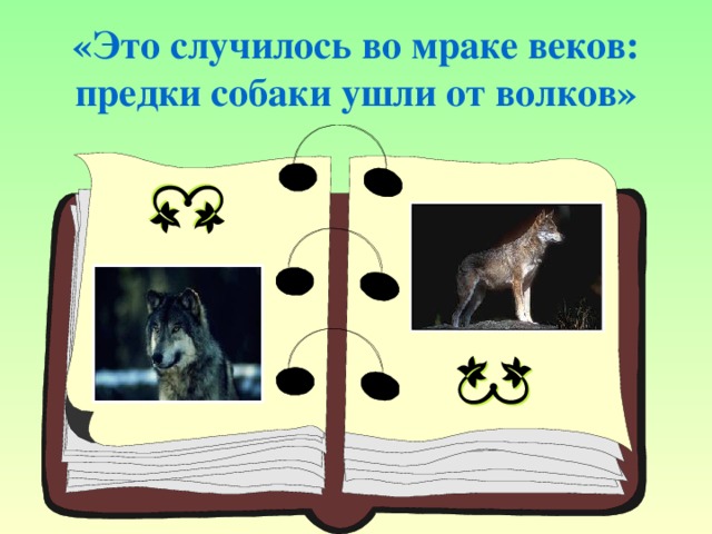 «Это случилось во мраке веков:  предки собаки ушли от волков»