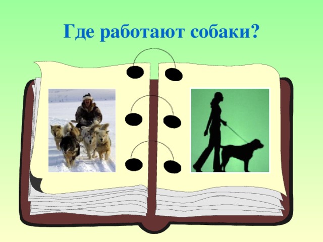 Где работают собаки?