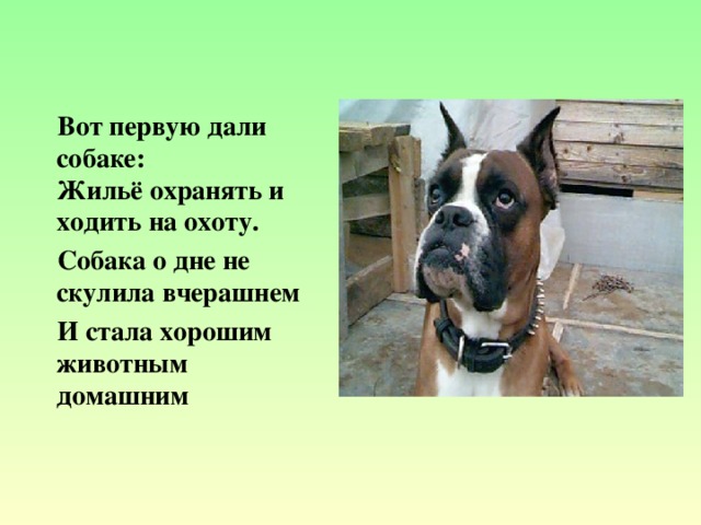 Вот первую дали собаке:  Жильё охранять и ходить на охоту.  Собака о дне не скулила вчерашнем  И стала хорошим животным домашним