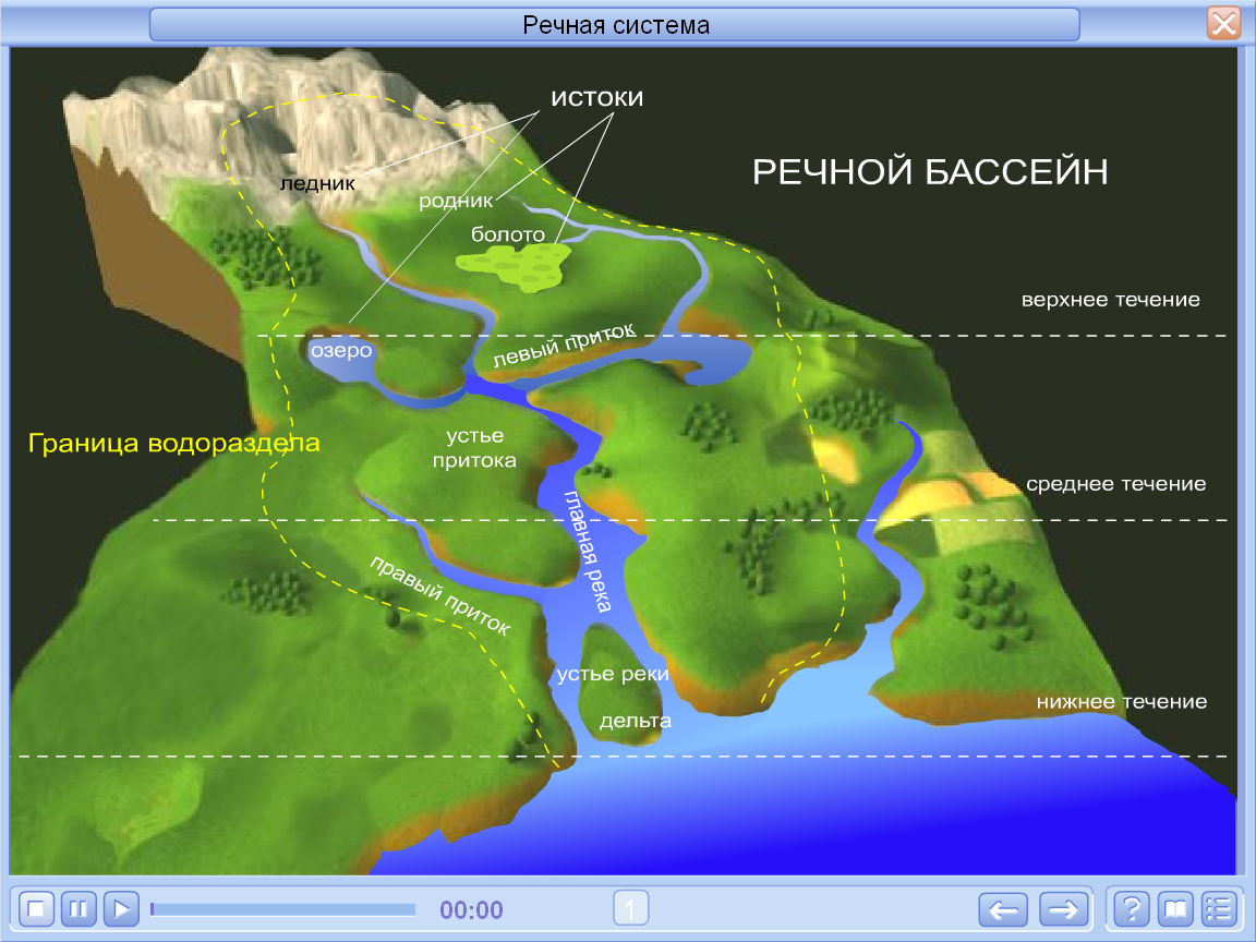 Схема строения речной системы