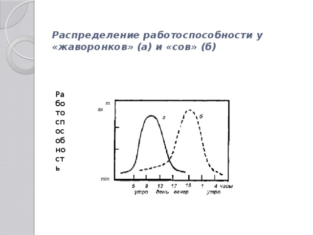 Распределение работоспособности у «жаворонков» (а) и «сов» (б)   Работоспособность max min