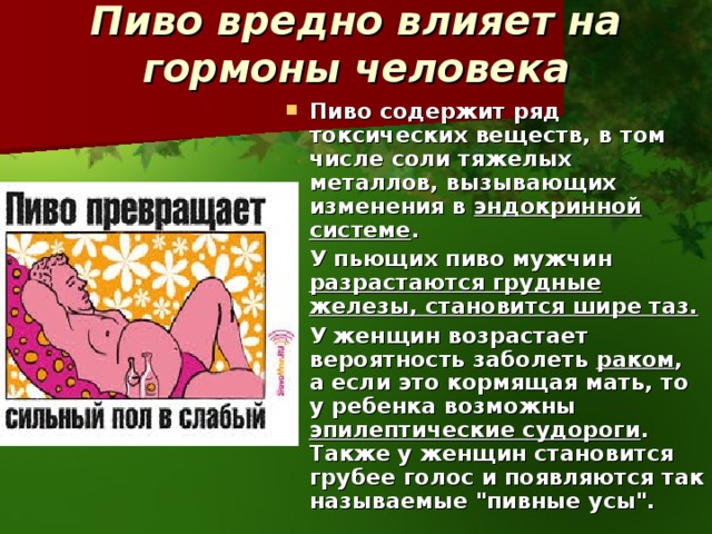 Пиво вредно влияет на гормоны человека