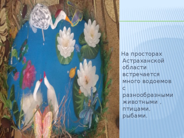 На просторах Астраханской области встречается много водоемов с разнообразными животными , птицами, рыбами.
