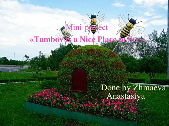 Mini-project «Tambov is a Nice Place to See » Done by Zhmaeva Anastasiya