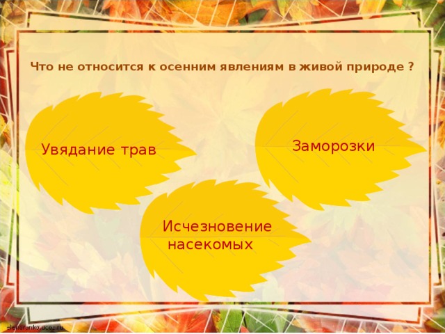 Что не относится к осенним явлениям в живой природе ?   Заморозки Увядание трав Исчезновение  насекомых