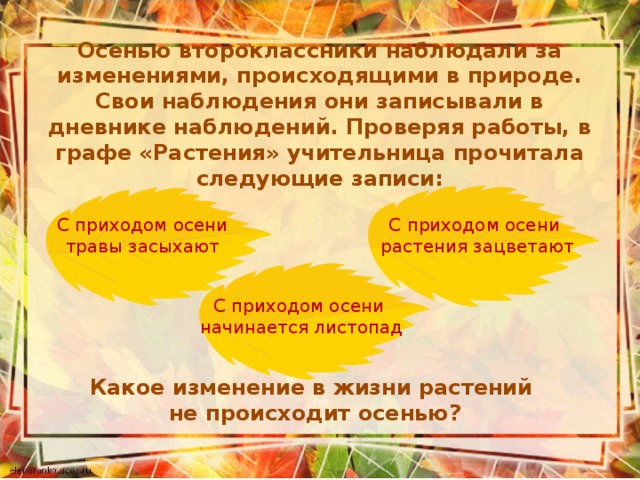 Осенью второклассники наблюдали за изменениями, происходящими в природе. Свои наблюдения они записывали в дневнике наблюдений. Проверяя работы, в графе «Растения» учительница прочитала следующие записи: С приходом осени травы засыхают С приходом осени растения зацветают С приходом осени начинается листопад Какое изменение в жизни растений не происходит осенью?