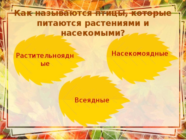 Как называются птицы, которые питаются растениями и насекомыми? Насекомоядные Растительноядные Всеядные