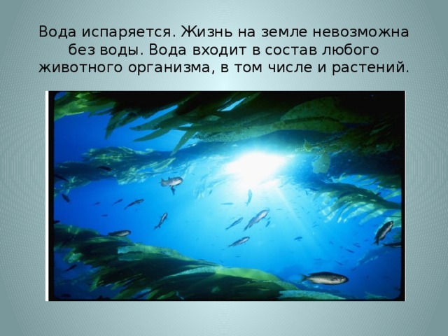 Вода испаряется. Жизнь на земле невозможна без воды. Вода входит в состав любого животного организма, в том числе и растений.