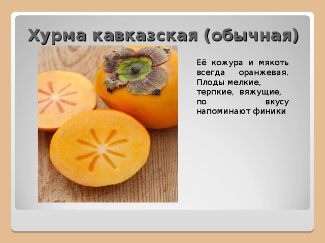 Хурма кавказская (обычная) Её кожура и мякоть всегда оранжевая. Плоды мелкие, терпкие, вяжущие, по вкусу напоминают финики