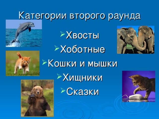 Категория «Пословицы и поговорки» 10. Кого ноги кормят?