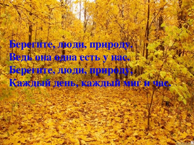 Берегите, люди, природу.  Ведь она одна есть у нас.  Берегите, люди, природу,  Каждый день, каждый миг и час.