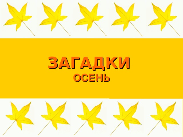 ЗАГАДКИ  ОСЕНЬ