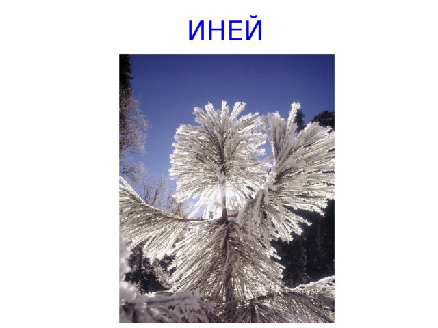 ИНЕЙ