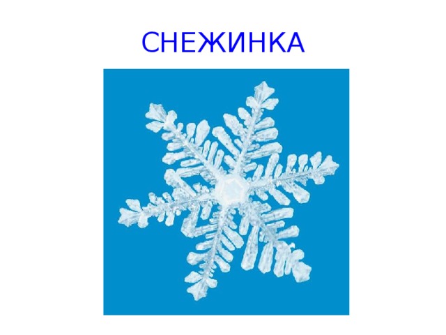 СНЕЖИНКА