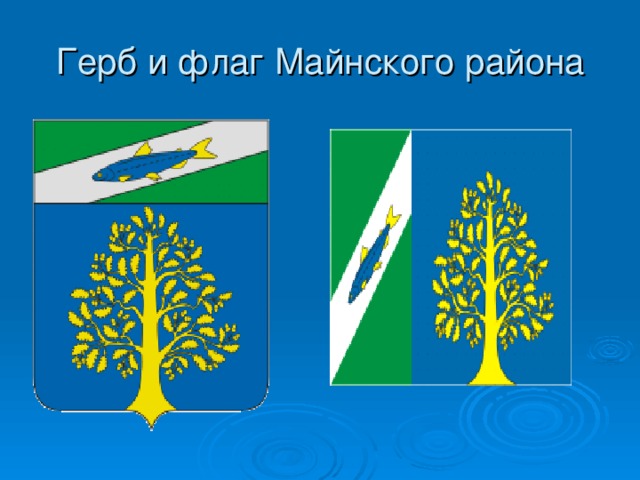 Герб и флаг Майнского района