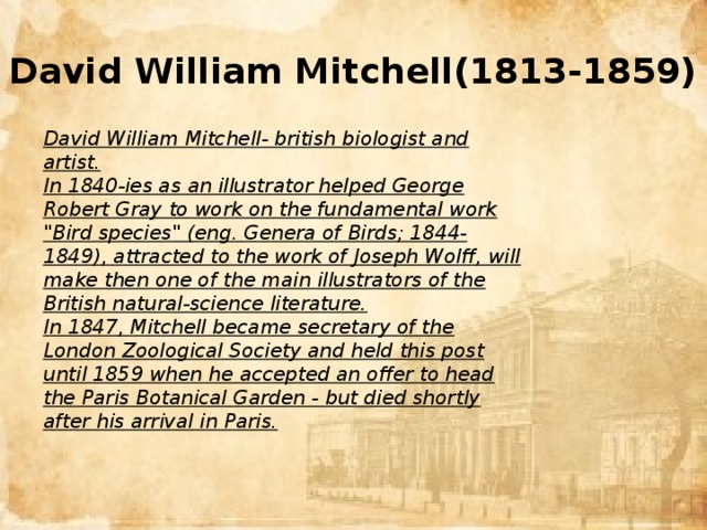 David William Mitchell(1813-1859) David William Mitchell- british biologist and artist. In 1840-ies as an illustrator helped George Robert Gray to work on the fundamental work 