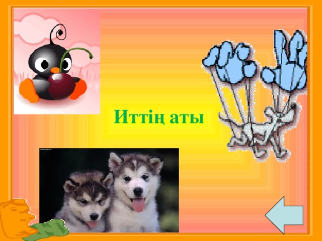 Иттің аты