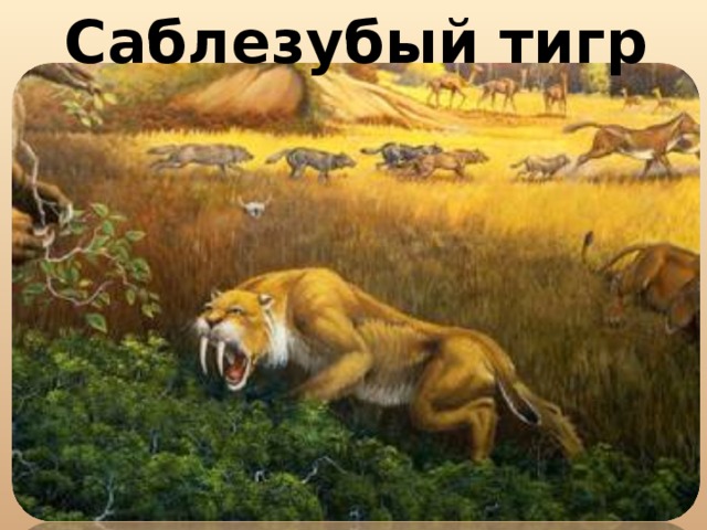 Саблезубый тигр