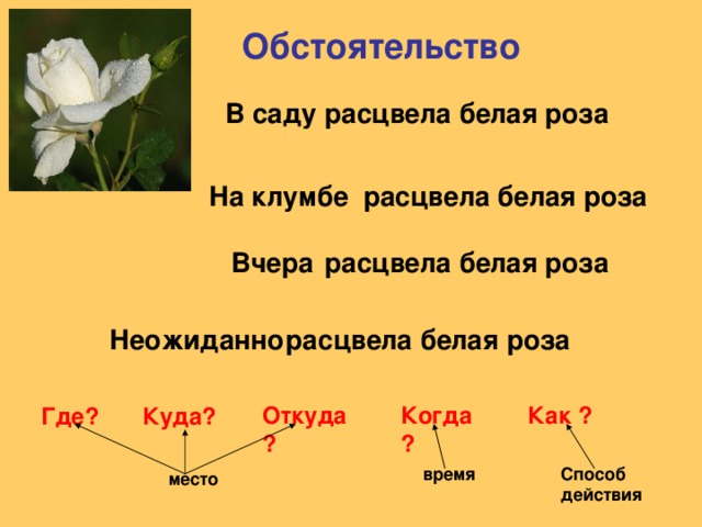 Обстоятельство  В саду расцвела белая роза На клумбе расцвела белая роза расцвела белая роза Вчера Неожиданно расцвела белая роза Откуда? Как  ? Когда? Куда? Где? Способ действия время место