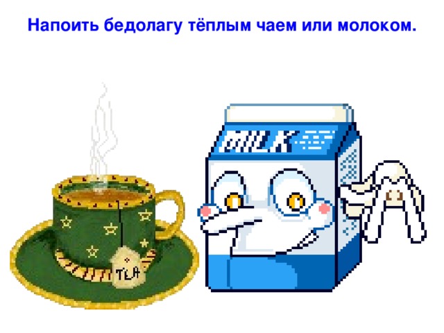 Напоить бедолагу тёплым чаем или молоком.