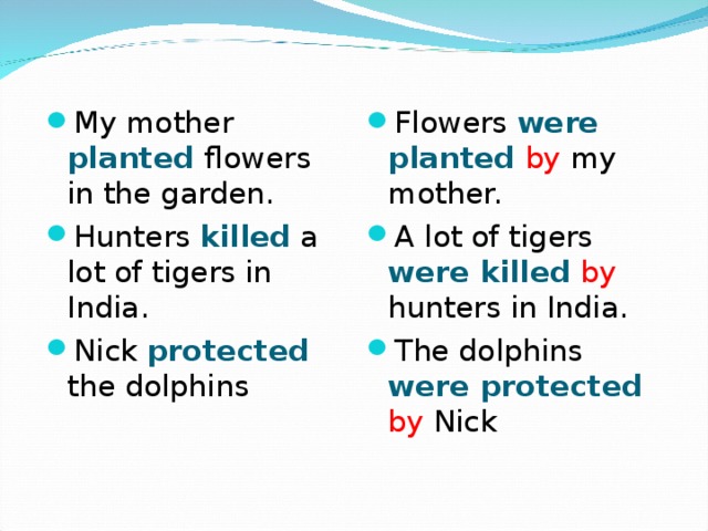 Му mother planted flowers in the garden. Hunters killed a lot of tigers in India. Nick protected the dolphins  Flowers were planted  by my mother. A lot of tigers were killed  by hunters in India. The dolphins were protected  by Nick