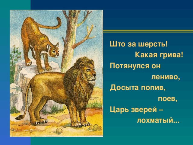 Што за шерсть!  Какая грива! Потянулся он  лениво, Досыта попив,  поев, Царь зверей –  лохматый...