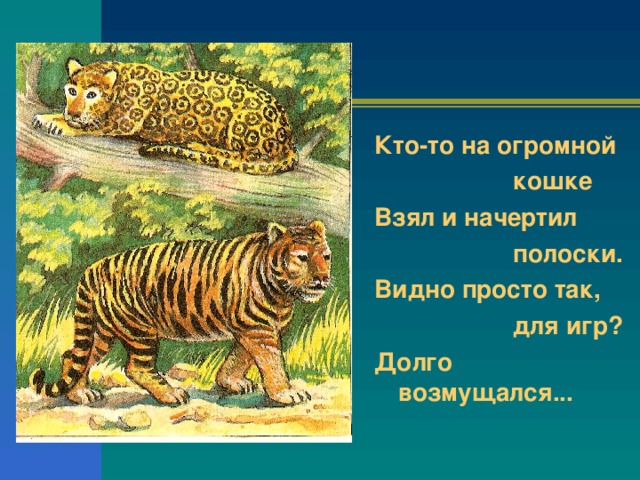 Кто-то на огромной  кошке Взял и начертил  полоски. Видно просто так,  для игр? Долго возмущался...