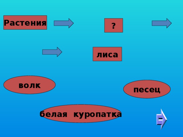 Растения ? лиса волк песец белая куропатка