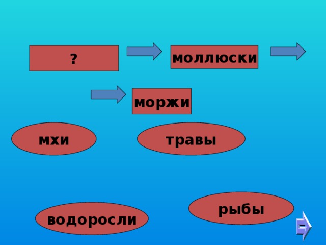 ? моллюски моржи мхи травы рыбы водоросли