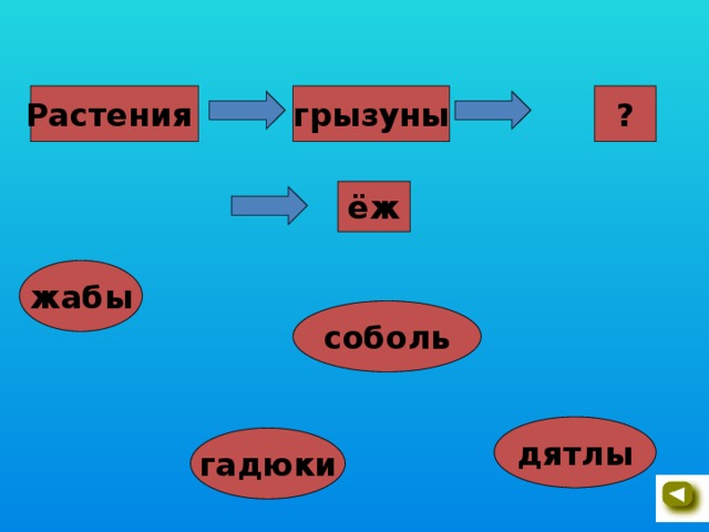 Растения грызуны ? ёж жабы соболь дятлы гадюки 21