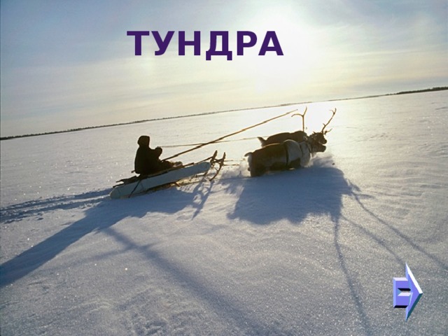 ТУНДРА