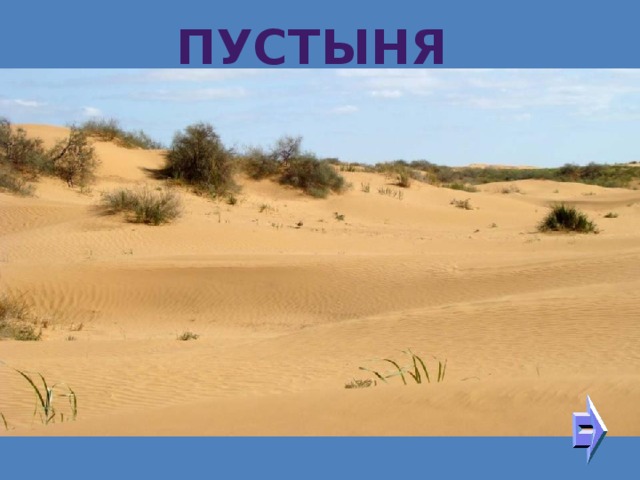 Пустыня