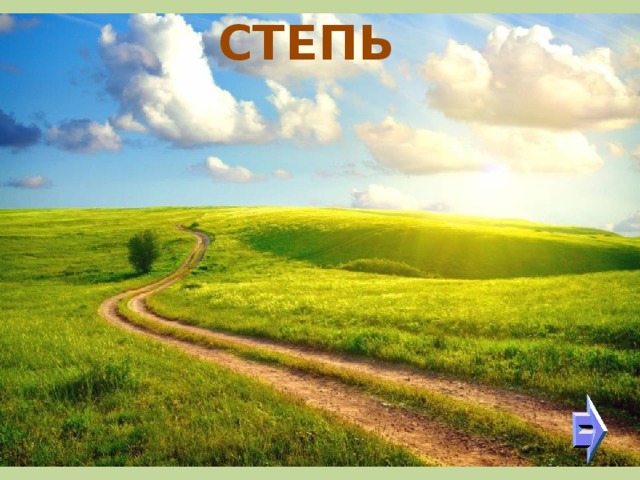 СТЕПЬ