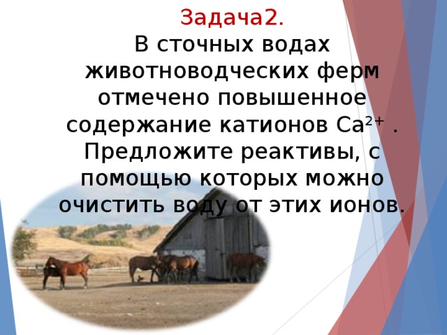 Задача2.  В сточных водах животноводческих ферм отмечено повышенное содержание катионов Ca 2+ . Предложите реактивы, с помощью которых можно очистить воду от этих ионов.