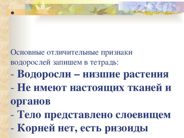 Основные признаки водорослей. Характерные признаки водорослей. Отличительные признаки водорослей. Для водорослей характерны Общие признаки. Признаки отдела водоросли.