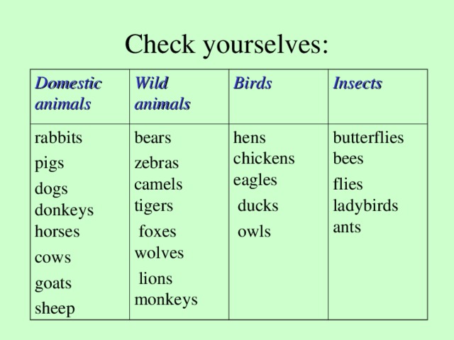 Check yourselves:   Domestic animals Wild animals rabbits pigs dogs donkeys horses cows goats sheep Birds bears zebras camels tigers  foxes wolves  lions monkeys Insects hens chickens eagles  ducks  owls butterflies bees flies ladybirds ants