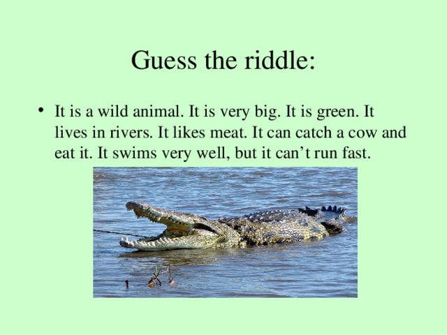 Guess the riddle: