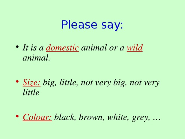 Please say: It is a domestic  animal or a wild animal.  Size: big, little, not very big, not very little