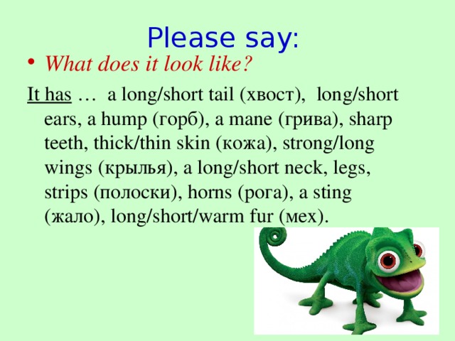 Please say: What does it look like? It has  … a long/short tail ( хвост) ,  long/short ears, a hump (горб) , a mane (грива) , sharp teeth, thick/thin skin (кожа) , strong/long wings (крылья) , a long/short neck, legs, strips (полоски) , horns (рога) , a sting (жало) , long/short/warm fur (мех).